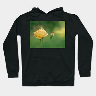 Mellow Yellow Rose Hoodie